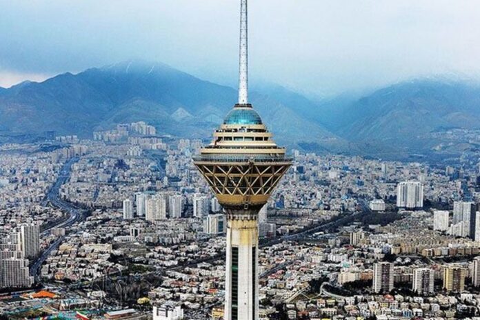 نگرانی در مورد افزایش یک حیوان وحشی در شهر تهران/ این حیوان در کدام مناطق پایتخت بیشتر است؟