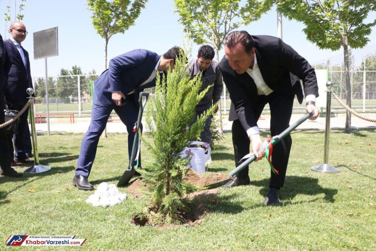 ماجرای گران قیمت‌ترین درخت تاریخ؛ کاش ریشه خیلی چیزها زده شود!